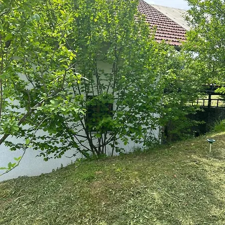 Markovi Konaci Lohovo ヴィラ Bihać